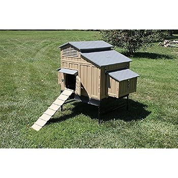 Snaplock Formex Large Chicken Coop Backyard Hen House 4 6 Large 6 12 Bantams