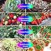 Grow Light Bulb, PATHONOR Pack of 4 Upgraded Full Spectrum 28W E27/ E26 LED Grow Light Bulbs with 1 Adapter Cable, Grow Plant Light Bulb for Hydroponics Greenhouse Organic Succulent Flowers Vegetable