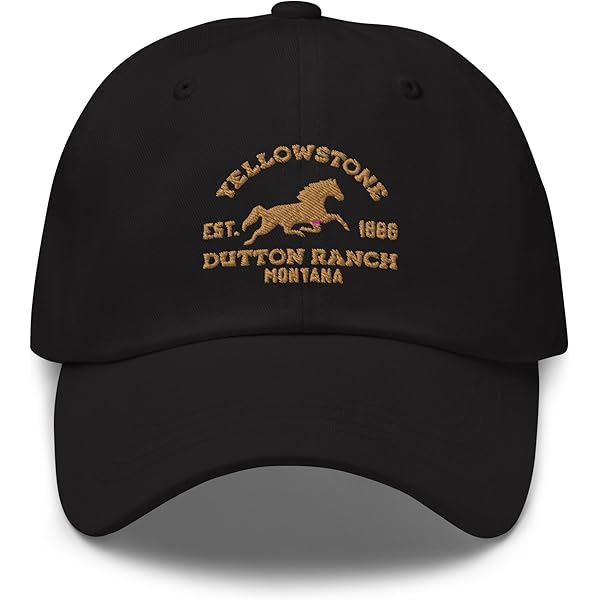 Star Trek: Enterprise NX-01 Logo Classic Dad Hat, Adjustable