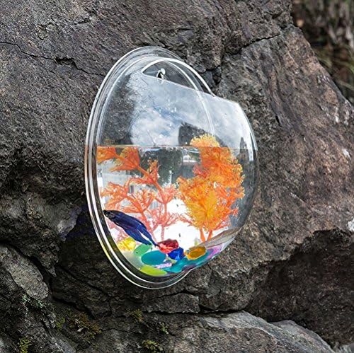 Home Decoration Pot Plant Wall Mounted Hanging Bubble Bowl Fish Tank Aquarium "Clear 15cm"Set31