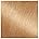 803 Medium Buttery Blonde (Buttercup)