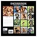 Dog Breeds - Dachshunds 2017 Monthly Wall Calendar, 12