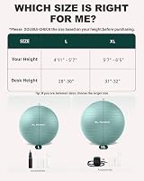 Trideer Professional Exercise Ball Anti-Burst Gym Ball 200kg Pump Included view 7