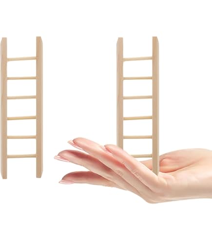 Amazon.com: Classics by Handley Dollhouse Miniature Unfinished 6