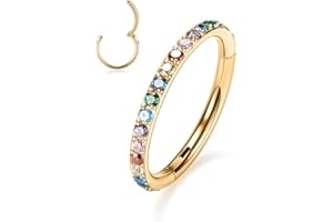 GAGABODY 20G 18G 16G 14G 6mm-12mm 316L Surgical Steel Piercing Jewelry Hinged Seamless Earrings Clicker Hoop Piercing Rings for Cartilage Helix Rook Septum Daith Tragus Lobe CZ/Opal/Shell/Turquoise