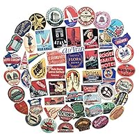 55 Pieces Retro Airplane Travel Flight Hotel Logo Sticker Various Car Motorcycle Bicycle Skateboard Laptop Luggage Vinyl Bumper Decals (Travel)