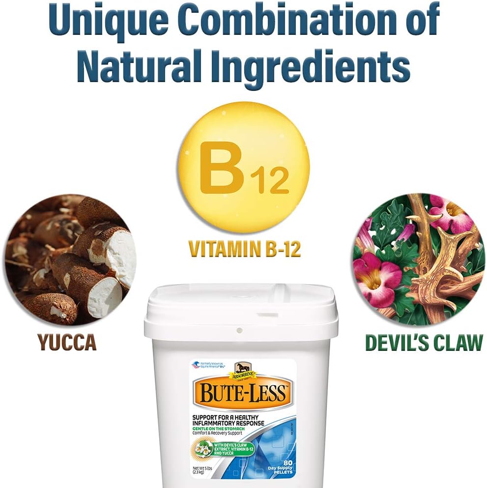 Bute-Less Comfort & Recovery Supplement Pellets, Healthy Inflammatory Response, 5 lb / 80 Day Supply : Pet Supplies