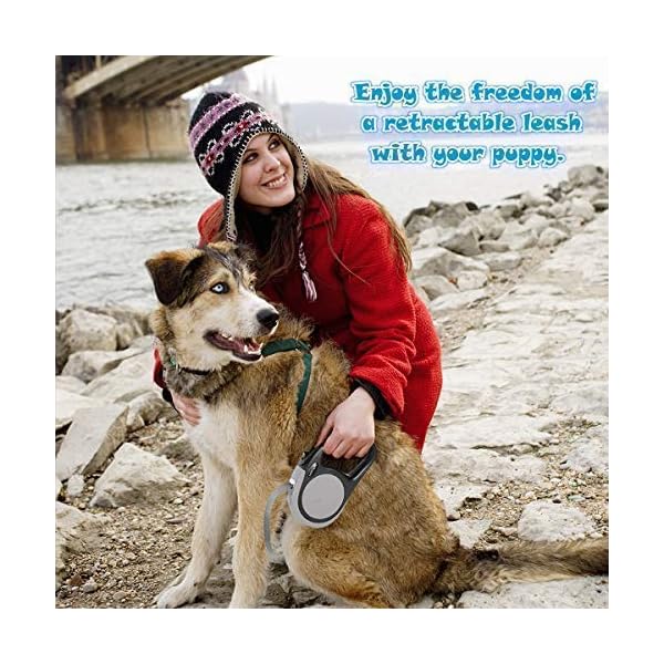 retractable dog leash for two dogs