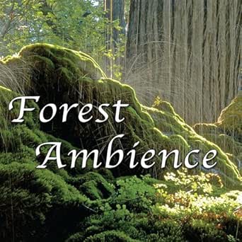 A Peaceful Night In The Forest For Yoga Spa Rest Deep Sleep By Natural White Noise Music For Meditation Relaxation Sleep On Amazon Music Amazon Com