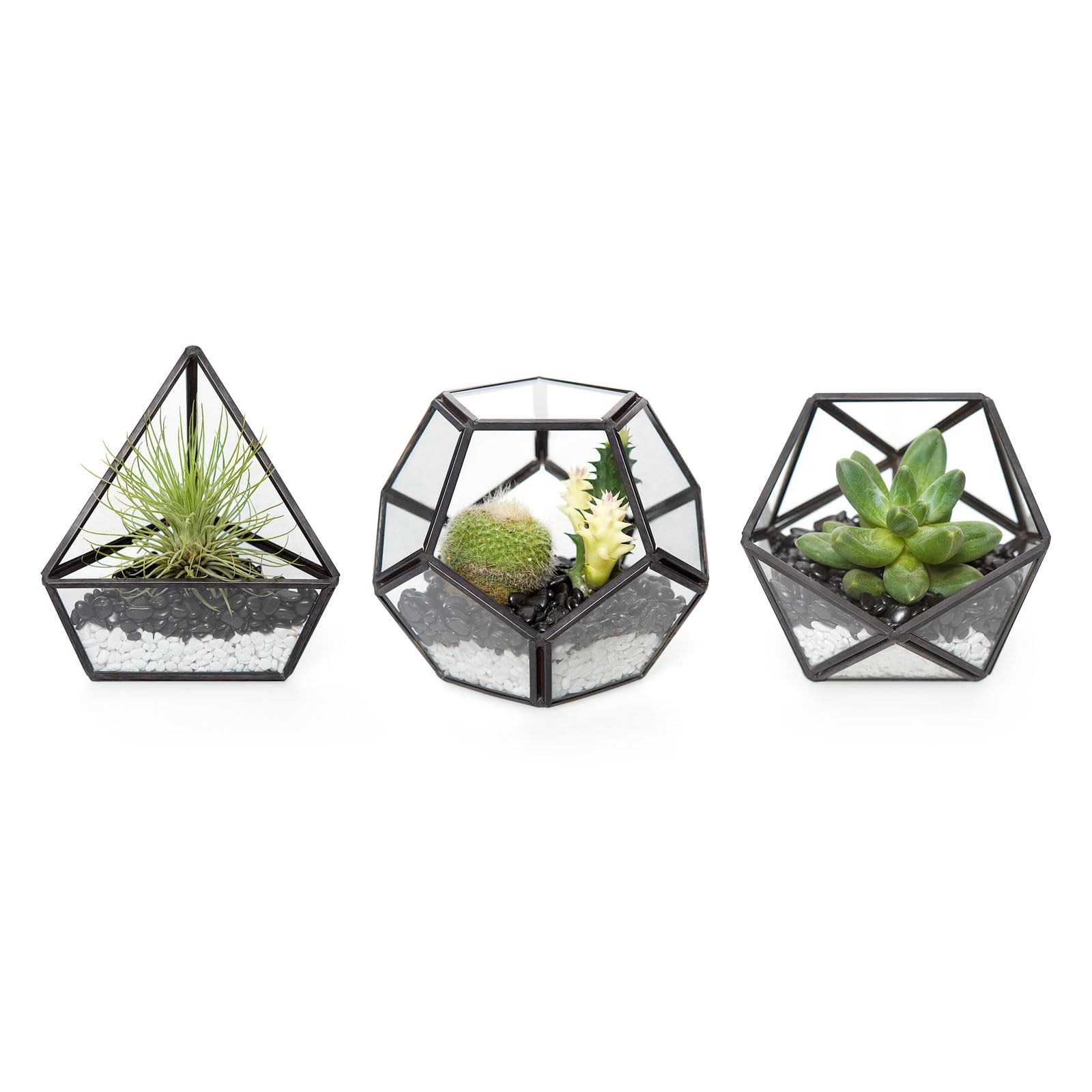 Photo 1 of Mkono 4 Inches Mini Glass Geometric Terrarium Container Set of 3 Modern Tabletop Planter Shelves Decor Display Centerpiece for Succulent Miniature Fairy Garden Air Plant, Black(Plant Not Included)
