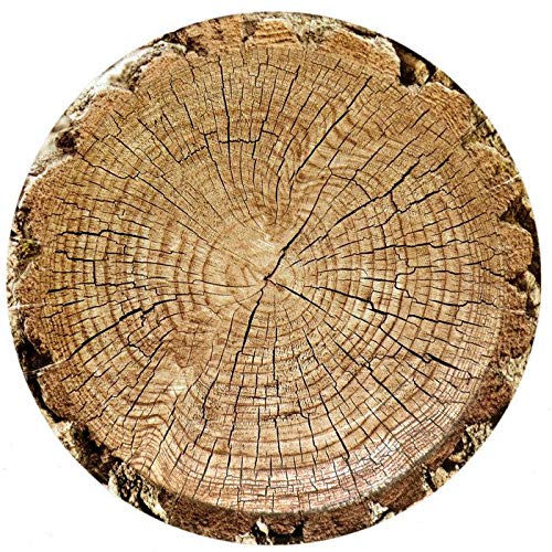 Cut Timber Dessert Plate (7