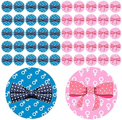 Qyler Gender Reveal Party Labels Baby Shower Voting Stickers (Team Blue & Team Pink)
