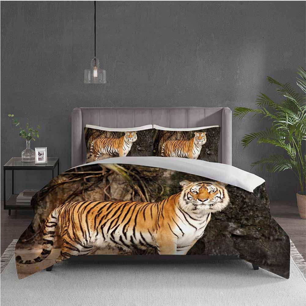 The 10 Best Sherpa Royal Tiger Print Heating Blanket