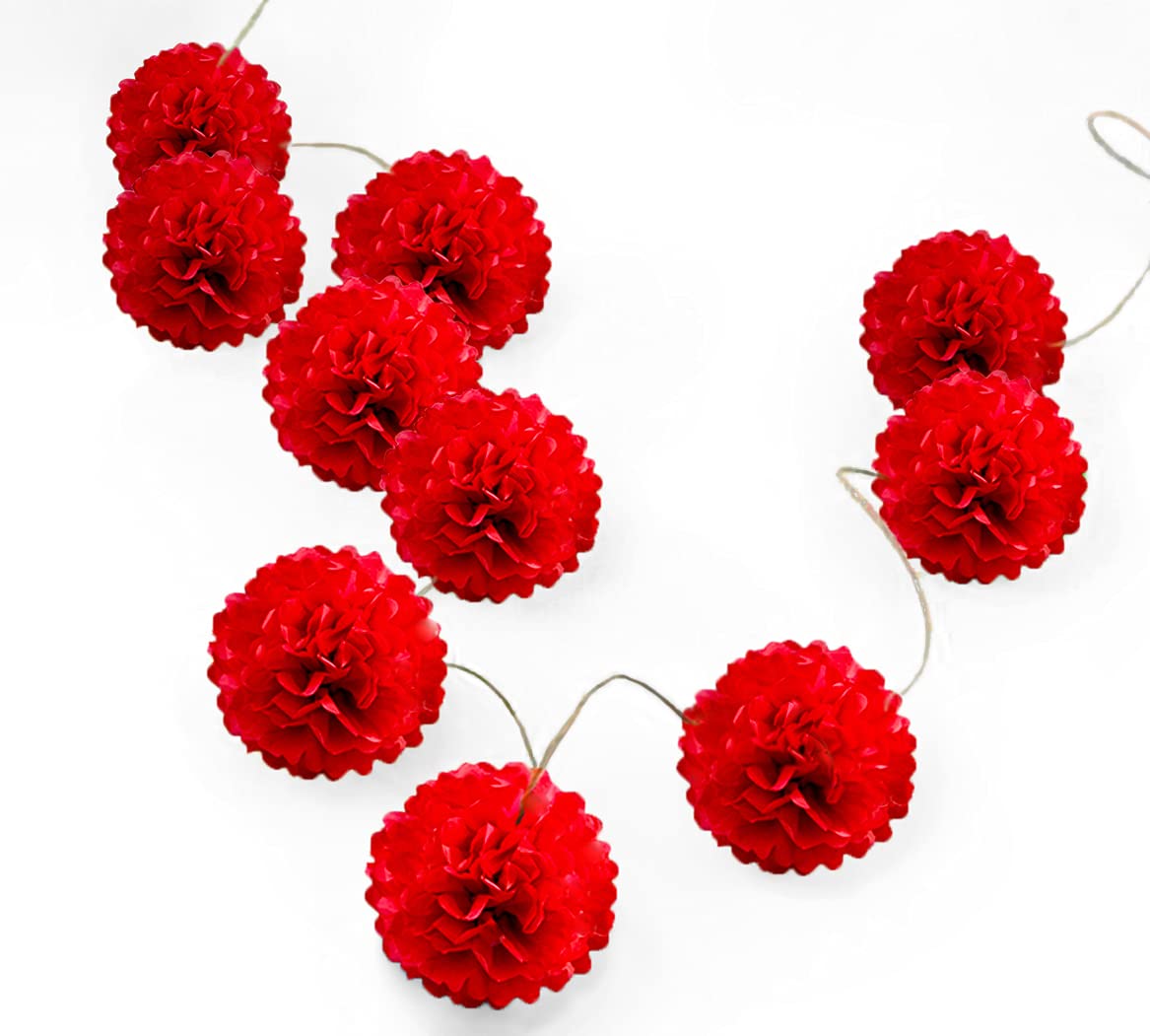 Pack of 10 Tissue Paper Flower Ball Pom pom Party Decoration Indoor Outdoor 6" 8" 10" 12" 14" (Red, 10")