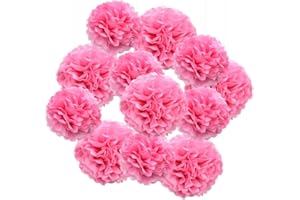 Hocansen 12Pcs Tissue Paper Pompoms 10/12in Paper Flower Ball for Birthdays and Special Occasions Party Hanging Decoration (10in+12in，Pink)