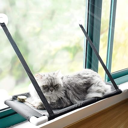 Galapara Hamac De Fenetre Pour Chat Transat Lit Hamac De Fenetre Pour Chat 10 Kg 22 Lb Transat Support A Ventouse Chat Perchoir A Chat Pour Fenetre Lit Radiateur 60 35 35cm Amazon Fr Animalerie