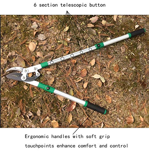 Rat Trap TUOSEN SK5 High-Performance Compound Action Anvil Lopper Raised Garden Bed