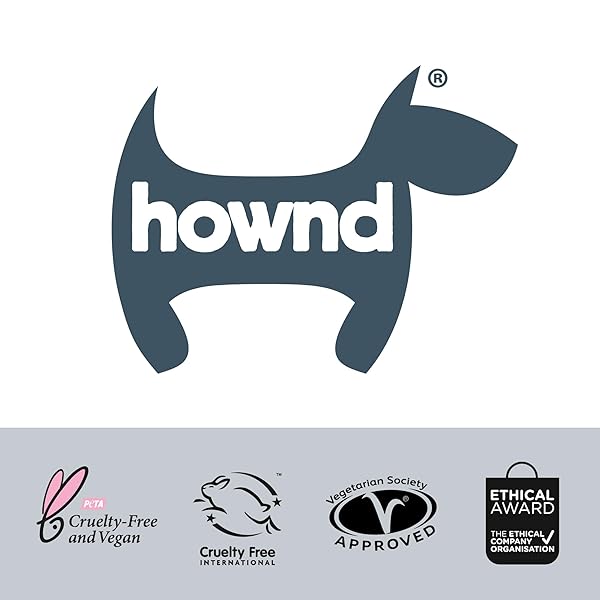 HOWND YUP YOU STINK ODOR DEODORIZING & DEEP CLEAN 2-IN-1 DOG SHAMPOO AND CONDITIONER – HYPOALLERGENIC, VEGAN, PH-BALANCED, ODOR CONTROL FOR SMELLY, ITCHY DOGS – CEDARWOOD AND EUCALYPTUS