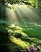 LB 5x7ft Nature Poly Fabric Photo Backdrops Customized Studio Background Studio Props M-36 …