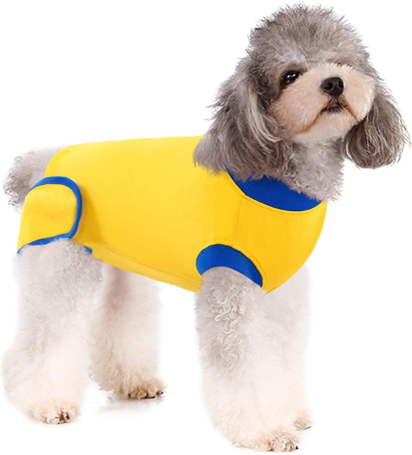 AOFITEE Dog Recovery Suit Surgical Pet After Surgery Wear