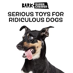 Barkbox Super Chewer Tough Dog Chew Toys for