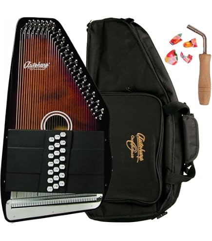 Amazon.com: Oscar Schmidt OS11021FN Autoharp : Musical Instruments