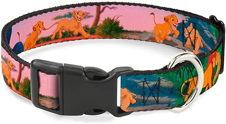 Buckle up dog collar Clearance