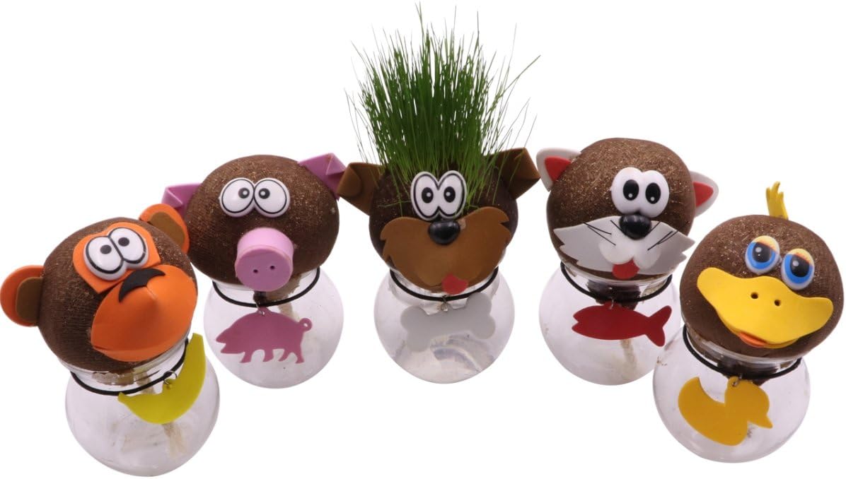 AvoSeedo Grass Head - Funny Fast Growing Grass Head Learning Toy for Kids (Mixed Comic Heads)