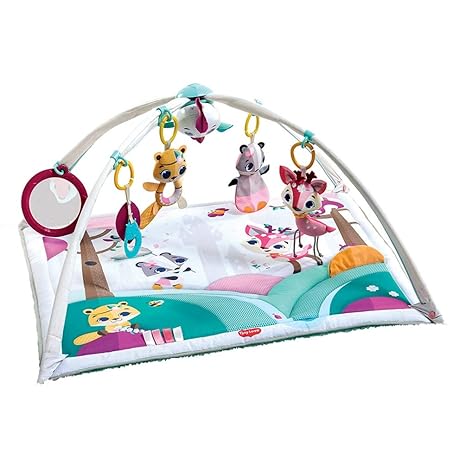 Fisher Price Dfp71 Jonathan Adler Sensory Gym Baby Playmat