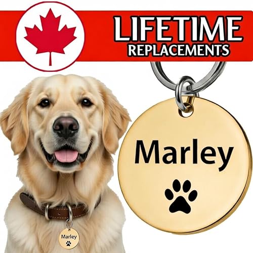 UNIIKA Personalized Custom Dog Tags Engraved Pet Canada (Lifetime Replacements) - Medaille Pour Chien et Chat Personnalisée, Deep Engraved on Both Sides (Small, Gold)