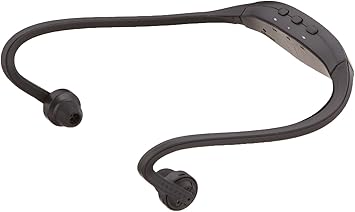 everlast bluetooth speaker