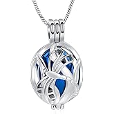 Yinplsmemory Cremation Jewelry Dragonfly Urn Ashes Necklace for Women Men with Small Keepsake Jar Urn Locket Pendant Ashes Keepsake Memorial Jewelry
