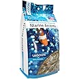 AquaNatural Marine Accents Lagoon 10.4 floz for Reef Tank and Aquarium, Decor, Shells, fossilized Corals and Aragonite, Sand, (ACCENT001)