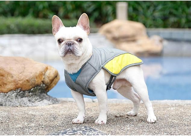 dog cooling jacket amazon