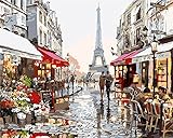 DIY Oil Painting Newsight Paintworks Paint by Number for Kids and Adults (Romantic Paris Street Eiffel Tower)