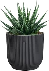 elho Vibes Fold Round Mini Flower Pot 7.0 cm Black Anthracite view 9