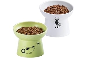 OMAYKEY Ceramic Raised Cat Bowls, Tilted Elevated Cat Food Water Bowl Set, Porcelain Stress Free Pet Feeder Dish for Cats and Small Dogs, Dishwasher and Microwave Safe - White & Fruit Green, Set of 2
