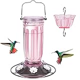 Kingsyard Glass Hummingbird Feeder for Outdoors
