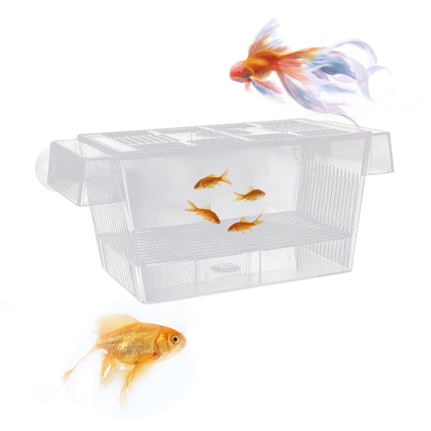1 Piece Transparent Fish Isolation Box - Double Layer Propagation Box, Floating Young Fish Care, Multifunctional Aquarium with Suction Cup (12.6 * 7 * 7cm)