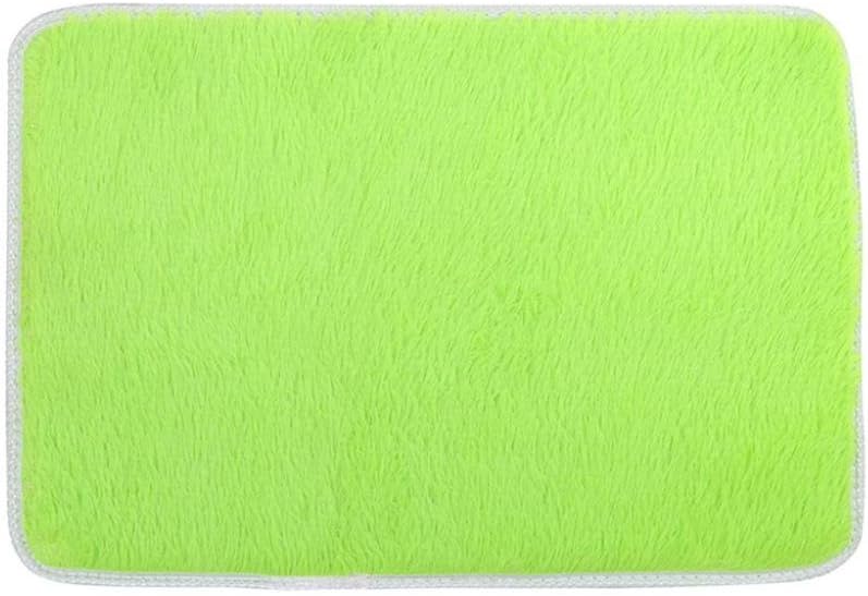 Floor Carpet,Soft Fluffy Rugs Bedroom Area Rugs Dining Room Home Anti-Skid Shaggy Mats,Entrance Mats (Green)