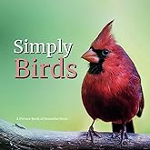 Simply Birds Picture Book for Dementia Patients & Seniors | Elderly Men & Women with Alzheimer's & Stroke | Uplifting Real Life Photos of Beautiful ... | Large Print for Vision Loss & Nursing Homes