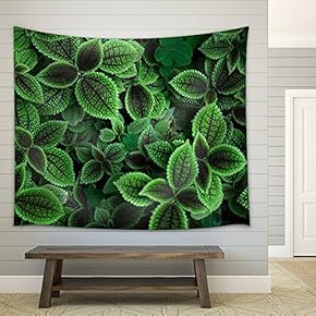 Closeup of Green Plants - Fabric Wall Tapestry Home Decor - 51x60 inches