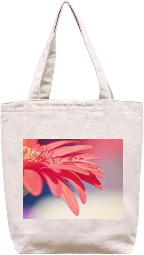 Fresco del día - bolso de totalizador de la lona del algodón: Amazon.es