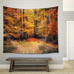 Pathway in The Autumn Park - Fabric Wall Tapestry Home Decor - 51x60 inches