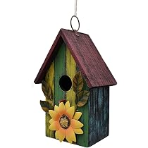 Where to Buy Bird Houses: Top Spots for Unique & Affordable Finds