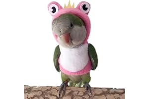 YANQIN Bird Costume Diaper Flight Suit Frog Shape Hoodie Clothes Cosplay Photo Prop for Parrots Parakeet Cockatiel Sun Conure, Small Animals Apparel (Pink Without Diaper, Small), Green
