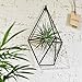 1 PCS Rustic Wall Mount Hanging Irregular Pentagon Geometric Metal Tillandsia Air Plants Holder Rack Black Wall Accent Decor (Black)