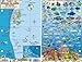 Bimini Islands Bahamas Dive Map & Reef Creatures Guide Franko Maps Laminated Fish Card by