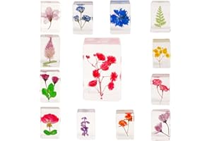 BETENSH Artificial Resin Amber Specimens Plants in Resin Flower Amber, Rose, Crabapple, Fern Leaf, Cherry Blossom and Other Teaching Specimens, Book Pressing Plate, Pendant (13Pcs)