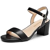 DREAM PAIRS Women's Low Heels Block Open Toe Ankle Strap Classic Short Chunky Sandals with Buckle for Daily Work Wedding Party